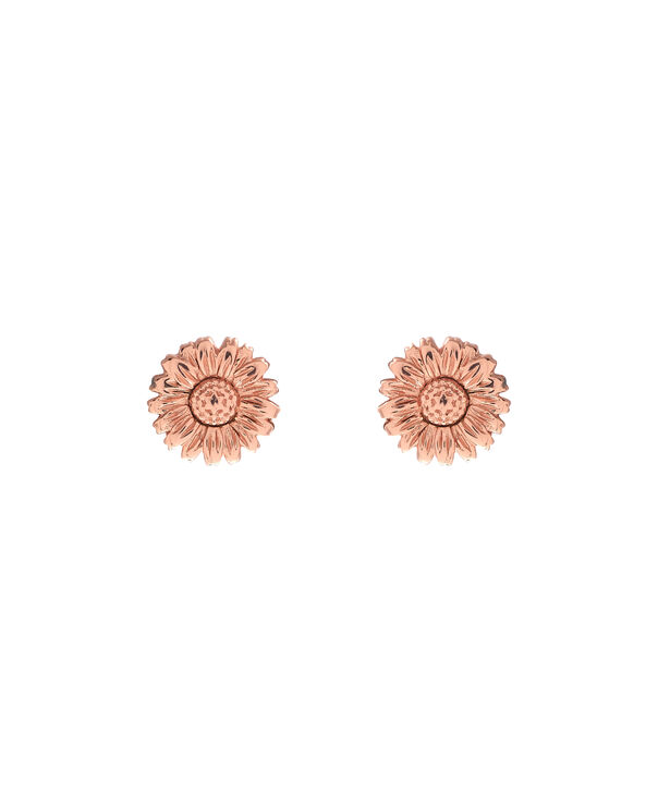 Daisy Stud Rose Gold Olivia Burton London Us Olivia Burton London Daisy Stud Rose Gold Obj16dae14 Earrings Front