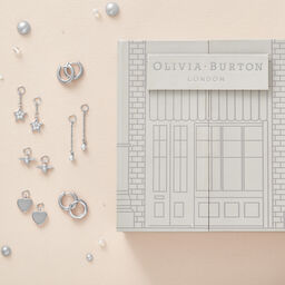 House of Huggies Silver ($255 Value)