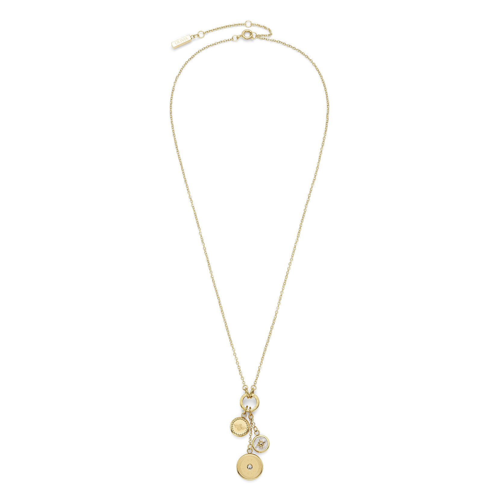 Bee and North Star Gold Plated Charm Necklace