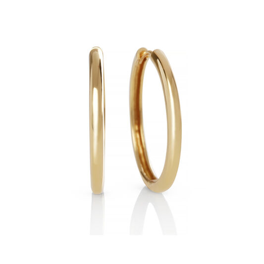 Hoop Earrings