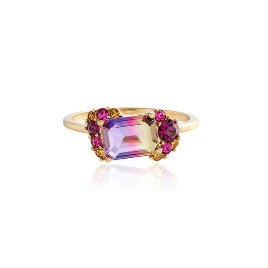 Jewel Rainbow Tourmaline Gold Ring (M)