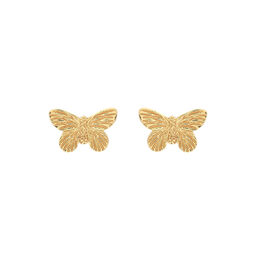 3D Butterfly Stud Earrings Gold