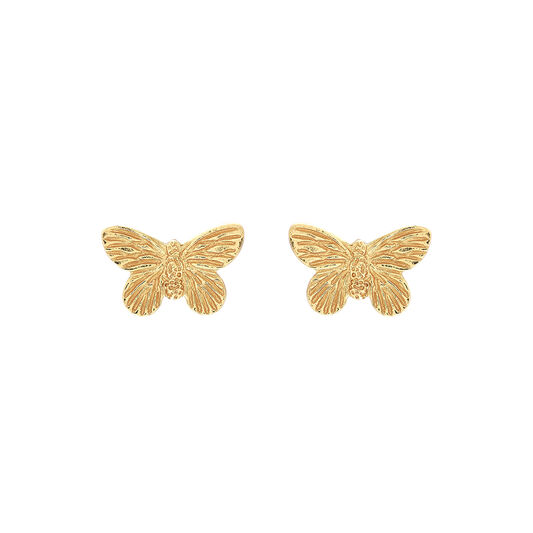3D Butterfly Stud Earrings Gold